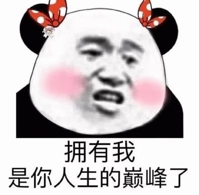 这是一张网络流行的熊猫头表情包，图片主体是一个戴着红色波点蝴蝶结的熊猫头形象，面部是夸张的人类表情，脸颊泛红，嘴巴微张，显得得意洋洋。图片下方配有文字“拥有我是你人生的巅峰了”，整体风格幽默夸张，常用于朋友间的调侃或自嘲，表达一种自信甚至自负的趣味态度。