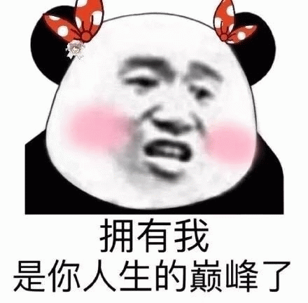 拥有我是你人生的巅峰了 熊猫头表情包