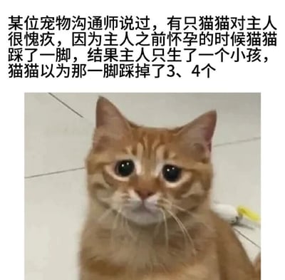 这是一张顶配底文形式的静态单图，上方配有一段趣味文字，讲述了一个由宠物沟通师传出的趣事：一只猫咪因为在主人怀孕时踩过主人的脚，之后主人只生下一个孩子，猫咪便天真地误以为是自己那一脚“踩掉”了另外3、4个孩子，因此对主人心怀愧疚；下方搭配了一只橘猫的照片，这只橘猫眼睛湿润，表情委屈巴巴，神态完美契合文字里猫咪愧疚的心情。图片通过拟人化的方式，赋予猫咪可爱的心理活动，将猫咪的天真和愧疚感具象化，制造出温馨又幽默的效果，十分贴合宠物爱好者的趣味审美。