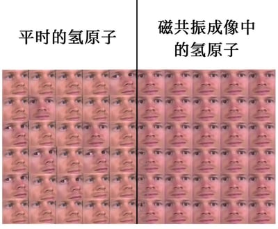 这是一张左右对比梗图，通过人脸网格的变化来幽默表现氢原子在不同状态下的特性。左侧标题为'平时的氢原子'，显示由许多略有差异的男性面孔组成的网格；右侧标题为'磁共振成像中的氢原子'，显示由完全相同的男性面孔组成的网格。这种对比形象地表达了氢原子在磁场中趋向一致排列的科学概念。