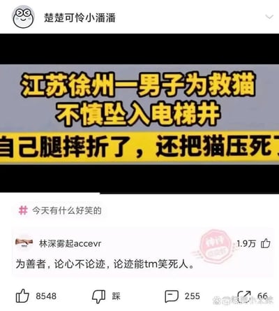 这是一张社交媒体搞笑内容截图，顶部展示了一则充满荒诞感的社会新闻：江苏徐州一男子为了救猫不慎坠入电梯井，最终自己腿摔折了，反而把原本要救的猫压死了。下方是带有“今天有什么好笑的”话题标签的内容区域，用户“林深雾起accevr”的评论获得了1.9万点赞，被平台标注为“神评”，评论用“为善者，论心不论迹，论迹能tm笑死人”这句话，精准调侃了这件事好心办坏事的荒诞结局，让事件的悲剧感转化为让人哭笑不得的笑点。