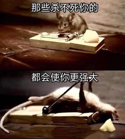 图片为上下两格对比图。上半格中一只老鼠正靠近放置着奶酪的捕鼠夹，上方配有文字“那些杀不死你的”；下半格中捕鼠夹已触发，老鼠被夹住呈死亡状态，下方配有文字“都会使你更强大”。该图通过反讽手法，将常见的励志名言与老鼠被陷阱捕获的场景结合，形成幽默效果，暗示现实中并非所有困境都能让人变强。