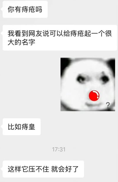 这是一张聊天记录截图形式的搞笑梗图，上方有几条对话气泡，中间插入了一个经典熊猫头表情包。熊猫头表情有一个红色的鼻子和一个问号，显得十分困惑。对话内容围绕给痔疮起霸气名字展开，提到"比如痔皇"，并开玩笑说"这样它压不住 就会好了"，通过将普通病症与"皇"这种尊贵称号结合产生幽默效果。
