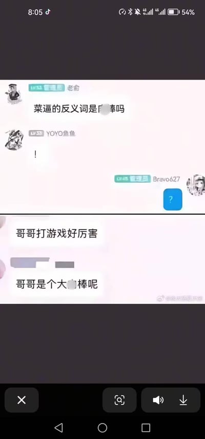 这是一张竖屏手机格式的聊天记录截图，展示了一个简短的对话场景。用户“老俞”首先提问“菜逼的反义词是奉吗”，用户“YOYO鱼鱼”仅回复一个感叹号“!”，用户“Bravo627”则发送了一个蓝色的问号图标。截图下方还有两条消息：“哥哥打游戏好厉害”和“哥哥是个大棒呢”（其中部分文字被模糊处理）。整体对话风格轻松随意，充满网络聊天的日常感。