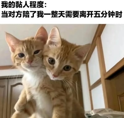 图片上方有黑色文字'我的黏人程度：当对方陪了我一整天需要离开五分钟时'，下方是两只橘色小猫紧紧依偎在一起的照片，一只小猫的前爪搭在另一只身上，眼神无辜，生动形象地表现出极度黏人的状态，常用于幽默表达亲密关系中的依赖感。