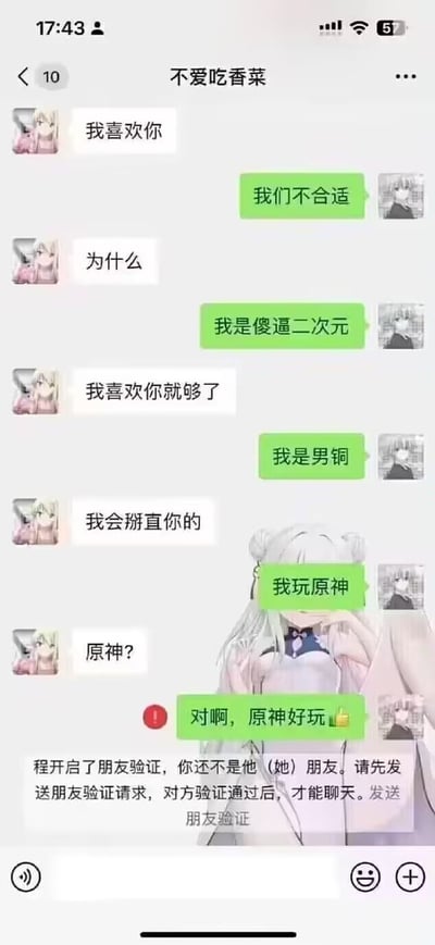 这是一张竖版微信聊天记录截图，整体为搞笑整活内容：备注为“不爱吃香菜”的用户向对方表白，对方先后以自己是二次元、是男同性取向为理由表示两人不合适，表白方都表示可以接受，直到对方说出自己玩原神，表白方反问“原神？”之后，对方刚回复“对啊，原神好玩”就被表白方拉黑，界面出现了需要发送朋友验证才能聊天的系统提示，聊天界面底部还叠加了半透明的原神相关二次元女性角色贴图，核心是玩梗调侃原神玩家受排斥的网络印象。