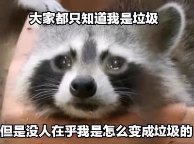 图片为一只浣熊的特写镜头，它趴在某个物体上，眼神中带着一丝委屈和无助看向镜头。图片上方配有文字“大家都只知道我是垃圾”，下方配有文字“但是没人在乎我是怎么变成垃圾的”。通过拟人化的手法，让浣熊表达出一种被简单标签化、不被理解背后原因的无奈情绪，整体风格幽默中带着一丝自嘲。