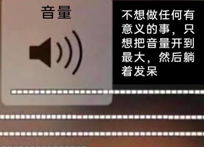 这是一张用于抒发情绪的静态图文混排梗图，画面左侧是设备的音量设置界面截图，上方标注“音量”字样，配有喇叭发声图标，下方的音量条处于完全拉满的最大状态；画面右侧是黑色背景的白色文字：“不想做任何有意义的事，只想把音量开到最大，然后躺着发呆”。整张图通过将“开大音量”这个行为与“放空发呆、逃避事务”的情绪结合，用开大音量营造隔绝外界的个人空间的方式，精准传达出当代人在面对生活与工作压力时，产生的疲惫倦怠、想要逃避耗费精力的事务、彻底放空自己的情绪，能够引发有类似心境的人群的强烈共鸣。