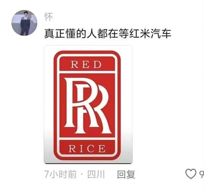 这是一张社交媒体评论区的截图，用户「怀」发布评论「真正懂的人都在等红米汽车」，并配上了一张恶搞劳斯莱斯经典双R车标的图片：将车标内的品牌文字替换为「RED」和「RICE」，保留了劳斯莱斯标志性的双R设计，玩起了红米（Redmi）与劳斯莱斯的品牌反差梗。

梗点说明：将定位亲民的数码品牌红米，用顶级豪车劳斯莱斯的车标风格呈现，制造出「红米汽车」的高端假象，通过强烈的定位反差制造幽默调侃的效果，表达网友对红米推出汽车的趣味期待。