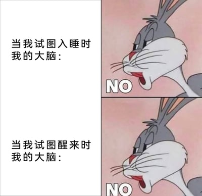 这是一张采用上下对比形式的图文混排梗图，左侧为中文文字说明，右侧是两张截取自动画《乐一通》的兔八哥表情截图，均配有英文文字“NO”。上半部分文字为‘当我试图入睡时我的大脑：’，搭配兔八哥拒绝的表情，表现想入睡时大脑不肯配合休息的状态；下半部分文字为‘当我试图醒来时我的大脑：’，同样搭配兔八哥的拒绝表情，表现想起床时大脑抗拒苏醒的状态。该梗图精准调侃了当代人普遍面临的睡眠作息紊乱的困境，用生动的卡通形象引发大众共鸣。
