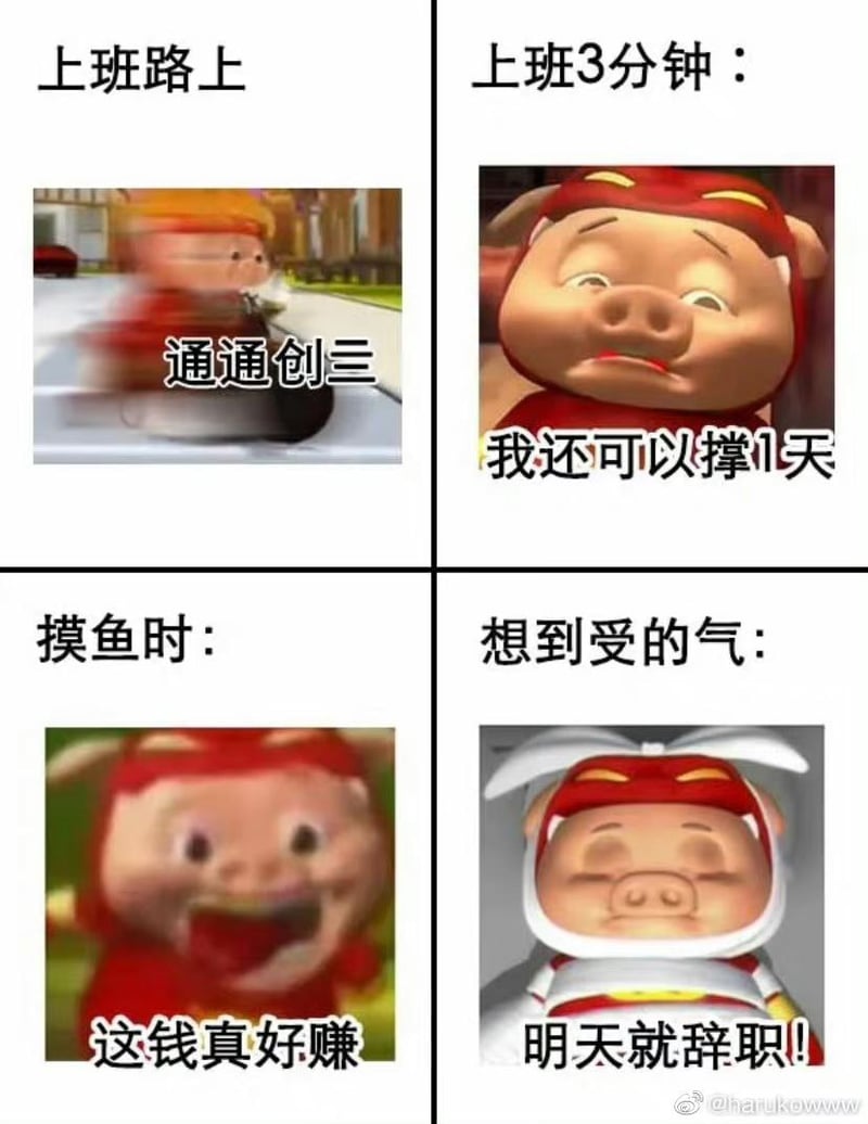 猪猪侠