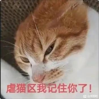 图片为一只橘白相间的猫咪特写，猫咪眯着一只眼睛，表情略带严肃和不满，仿佛在生气。图片底部有红色醒目文字：“虐猫区我记住你了！”，将猫咪拟人化，表现出一种记仇、傲娇的可爱神态，整体风格幽默搞笑。