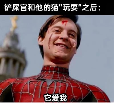 这是一张经过二次创作的搞笑梗图，顶部配文“铲屎官和他的猫‘玩耍’之后：”，图中主体是托比·马奎尔饰演的蜘蛛侠，他的脸上带有多处明显的抓伤和血迹，却露出开心满足的笑容，底部配文“它爱我”。该图用蜘蛛侠受伤却乐观的状态，调侃铲屎官在和猫咪互动玩耍时被抓伤，却自我安慰这是猫咪表达喜爱的方式，精准戳中养猫人群与猫咪相处时，即使被误伤也甘之如饴的心态，充满自嘲和搞笑的氛围，能引发养猫人士的共鸣。