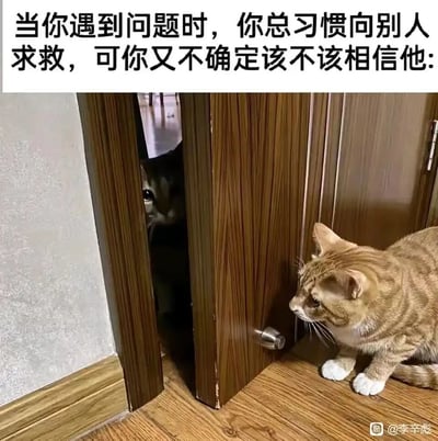 这是一张图文结合的猫咪表情包，顶部配有文字“当你遇到问题时，你总习惯向别人求救，可你又不确定该不该相信他:”。画面中，一只橘白相间的猫咪蹲在木质门边，神情疑惑又犹豫，正看向门内；另一只猫咪则谨慎地躲在门后，仅从门缝中探出头观察门外的橘猫。该图通过两只猫咪的互动场景，生动具象地还原了人们在遭遇困境想要向他人求助，却又陷入“是否该信任对方”的矛盾与纠结中的复杂心态，容易引发人们在类似场景下的情感共鸣。