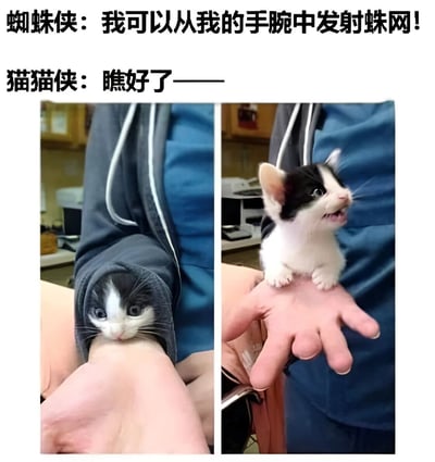 这是一张左右对比的搞笑梗图，通过蜘蛛侠和猫猫侠的超能力对比制造幽默效果。左边图中一只黑白相间的小猫从人的袖口钻出，只露出小脑袋和眼睛；右边图中小猫坐在人的手掌上，张着嘴巴像是在叫。上方文字分别写着蜘蛛侠和猫猫侠的台词，形成有趣的超能力对决场景。