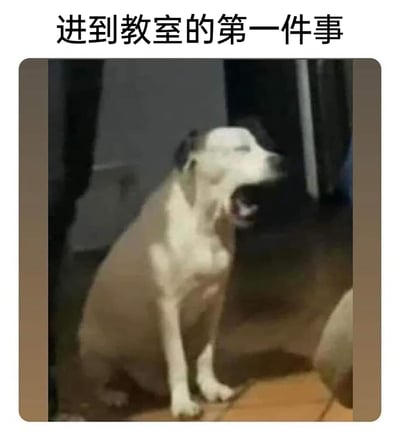 暂无描述