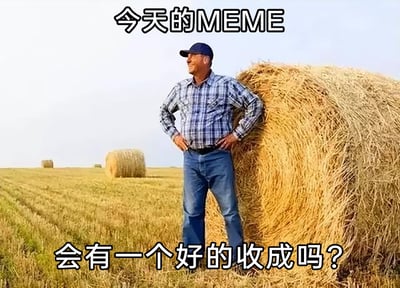 这是一张带有文字的MEME梗图，画面呈现了充满田园气息的收割后农田场景：一位身着蓝白格子衬衫、深蓝色牛仔裤，头戴深色鸭舌帽的男性农民，双手叉腰倚靠在一个大型圆形干草垛上，面带期许的神情望向远方，背景里的金黄色农田中还分布着几个同款草垛，整体色调温暖，传递出质朴的田间氛围。图片顶部配有文字“今天的MEME”，底部配有文字“会有一个好的收成吗？”，既以农民的视角直白表达了对农业丰收的期盼，也可以被引申到生活的其他领域，用来表达对工作成果、项目回报、计划结果等各类事情能获得正向反馈的美好期许，容易引发不同群体的情感共鸣。