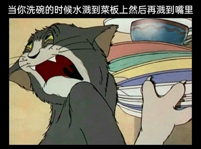这是一张改编自动画《猫和老鼠》的表情包，图中动画角色汤姆猫抱着一摞待清洗的盘子，眼睛瞪大、嘴巴大张，露出崩溃又恶心的夸张神情，图片上方配有文字“当你洗碗的时候水溅到菜板上然后再溅到嘴里”，精准捕捉了人们在做家务时，遇到这种糟心又倒霉的小状况时的崩溃、恶心情绪，用卡通角色的夸张表情放大了日常小意外带来的不适感，引发有相似经历的人的共鸣。