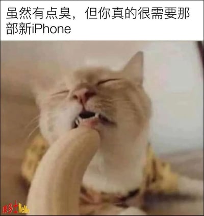 图中是一只皱着眉、闭着眼睛，用爪子捂着嘴的橘白猫，一脸嫌弃纠结的表情。上方配文“虽然有点臭，但你真的很需要那部新iPhone”，用来调侃消费者明明对新iPhone的价格、升级幅度等有所不满（对应“有点臭”），但内心又被消费欲望驱使，忍不住想要购买的纠结心态。
