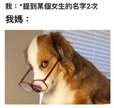 图片上方为文字内容：“我：*提到某个女生的名字2次”和“我媽：”，下方是一张戴着圆形眼镜的棕白相间狗狗的照片。狗狗侧头看向一侧，眼神中带着好奇和一丝审视，仿佛在仔细观察。该梗图通过拟人化的方式，幽默地表现了当孩子多次提到某个女生名字时，妈妈那种敏锐捕捉细节、充满好奇的反应，用戴眼镜的狗狗形象生动诠释了家长对孩子社交生活的关注与调侃。
