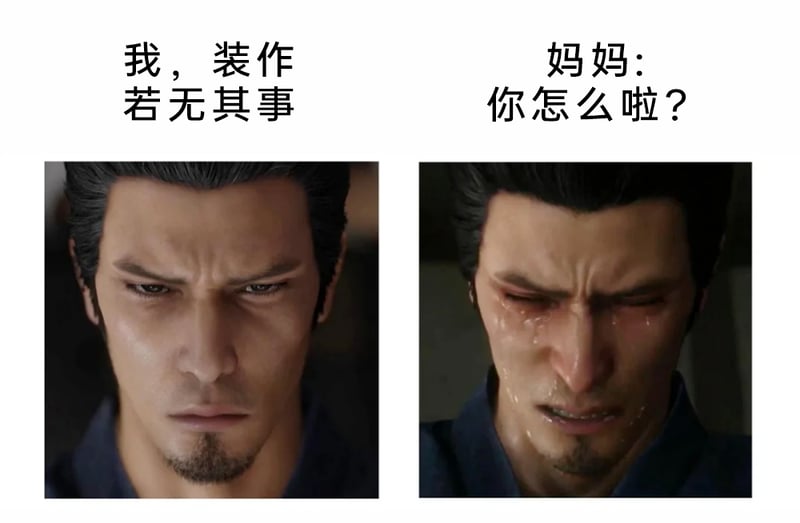 《如龙：维新！极》