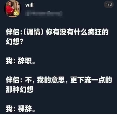 这是一张聊天记录截图，展示了一段幽默对话。伴侣调情问对方有没有什么疯狂的幻想，对方回答'辞职'。伴侣进一步解释想要'更下流一点的那种幻想'，对方则回答'裸辞'。这种答非所问的幽默展现了打工人对辞职的强烈渴望，将职场压力转化为搞笑梗。