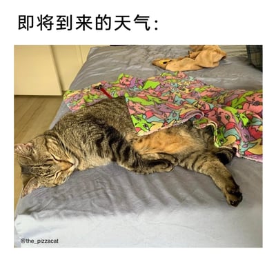 这是一张用来调侃天气的趣味梗图，顶部配有文字“即将到来的天气：”，下方展示了一只狸花猫侧躺在床上熟睡的画面：猫咪神态放松地闭着眼睛，身体舒展，肚子部分裸露在外，身上只搭了一小截印着彩色猫咪图案的毯子。这张图用猫咪只盖一半身体的状态，生动地调侃了即将到来的天气冷热不定，让人处于盖被子嫌热、不盖被子嫌冷的尴尬境地，十分贴合人们在换季时的真实体感。