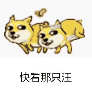 两只柴犬互相指看的搞笑动态图