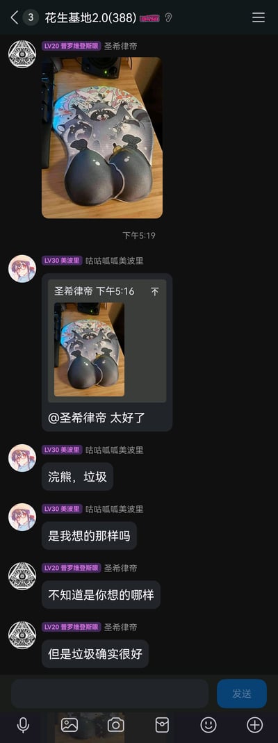 这是一张来自名为“花生基地2.0(388)”的即时通讯群聊的竖屏截图，群成员“圣希律帝”（带有LV20 普罗维登斯眼的头衔）在下午5:19分享了一款趣味护腕鼠标垫的照片，该鼠标垫设计成胸部造型，表面印有三只兴奋欢呼的浣熊图案，浣熊下方是类似钱袋的护腕部分，整体风格偏向二次元趣味擦边设计。随后群成员“咕咕呱呱美波里”（LV30 美波里头衔）进行回复，先是@“圣希律帝”表示“太好了”，接着吐槽“浣熊，垃圾”，这里的“垃圾”一方面指浣熊拿着的钱袋，另一方面谐音调侃鼠标垫的擦边造型，之后又询问“是我想的那样吗”，“圣希律帝”回复“不知道是你想的哪样”，随后补充“但是垃圾确实很好”，整个对话充满好友间的趣味调侃氛围，展现了兴趣群里分享趣味周边的日常互动。