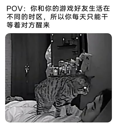 这是一张图文结合的搞笑梗图，上方配有文字“POV：你和你的游戏好友生活在不同的时区，所以你每天只能干等着对方醒来”，下方是一张经过P图改编的黑白图片：一只斑纹猫站在床上，头顶被添加了类似老式电报机的通讯装置，眼睛发出白光，画面下方能看到人的手，整体形象怪异又滑稽，生动地表现出玩家因为和游戏好友时区不同，只能时刻守着“通讯设备”，焦急又无奈地等待好友上线一起游戏的心情，用夸张的视觉效果放大了这种跨时区社交的尴尬与迫切感，引发有相似经历的网友共鸣。