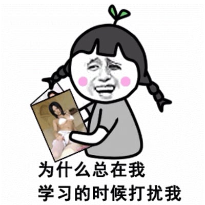 一张网络梗图，画面中有一个卡通风格的女孩形象，她梳着双马尾，头顶有一片小绿叶，脸上带着无奈的表情。女孩手中拿着一张照片，照片上是一位穿着内衣的女性。图片下方配有文字：'为什么总在我学习的时候打扰我'，通过反差幽默表达学习时被干扰的无奈情绪。