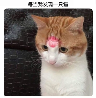 这是一张趣味宠物图片，主体是一只橘白相间的猫咪，它安静地坐在黑色仿鳄鱼皮纹理的沙发上。猫咪的额头有一块粉色的区域，形状酷似神话人物二郎神的第三只眼，图片顶部配有文字“每当我发现一只猫”。猫咪眼神低垂，神情呆萌略带委屈，结合特殊的色块和文字，营造出一种发现猫咪时，猫咪仿佛自带特殊“标识”的搞笑效果，适合作为表情包用来调侃看到猫咪时的趣味心情。