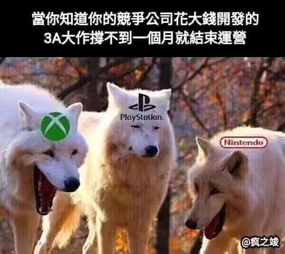 这是一张经过P图改编的静态游戏圈梗图，原图为野外的三只白色狼的实拍照片，网友在三只狼的头部位置分别添加了微软Xbox、索尼PlayStation、任天堂Nintendo三大主机厂商的品牌标识。图片顶部配有文字“当你知道你的竞争公司花大钱开发的3A大作撑不到一个月就结束运营”，三只狼的神态各不相同：左侧的Xbox狼张嘴大笑，神态夸张；中间的PlayStation狼表情平静，略带戏谑；右侧的Nintendo狼低头张嘴偷笑，神态狡黠，生动地表现出三大主机厂商得知竞品公司投入巨资开发的游戏迅速停运时幸灾乐祸的状态，以此调侃游戏行业的激烈竞争与部分高投入项目的惨淡结局。