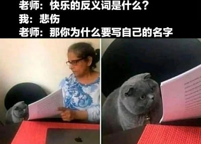 这是一张左右对比的搞笑梗图，展示了一个师生对话的幽默场景。左边画面中一位戴眼镜的女老师正在看文件，一只灰色的英国短毛猫在旁边偷看；右边画面是这只猫近距离看文件的特写，表情困惑。上方文字内容为：老师问“快乐的反义词是什么？”，学生回答“悲伤”，老师反问“那你为什么要写自己的名字”。笑点在于暗示学生可能误解了问题或写错了答案。