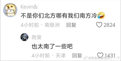 这是一张微博评论区的截图，展示了两条趣味互动评论：
1. 用户Kevin&发布评论“不是你们北方哪有我们南方冷😆”，定位显示为南极洲，收获2824个赞；
2. 用户雨癸回复评论“也太南了一些吧”，定位为天津，收获1431个赞。

这里运用了双关谐音梗：“南”既指代地理位置的“南方”，调侃发布者将定位选在世界最南端的南极洲，又谐音“难”，结合寒冷的话题，表达出“太难了”的调侃意味，笑点十足。