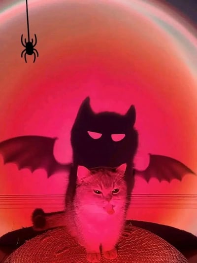 画面中，一只真实的灰色猫咪位于前景，表情略带调皮，微微吐着舌头。猫咪身后是一个黑色的蝙蝠剪影，它有着猫耳形状和发光的白色眼睛，营造出万圣节的诡异氛围。背景是粉橙色的渐变，像一轮巨大的圆月或星球，左上角还有一只悬挂的黑色小蜘蛛。整体风格俏皮又带点神秘感，非常符合万圣节主题。