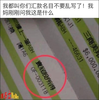 这是一张银行或账单的汇款单截图，图片中“汇款名目”被填写成了奇怪的词语“营业及皮所得”，明显属于胡乱填写。上方配文“我都叫你们汇款名目不要乱写了！我妈刚刚问我这是什么”，表达了被长辈质问时的尴尬与无奈。画面左下角有“厚多士MeMe”水印。

图片带有生活中真实的尴尬和搞笑效果，属于朋友圈/社交平台上的段子类趣图，内含“皮”字谐音，指出朋友调皮捣蛋胡写名目的行为。