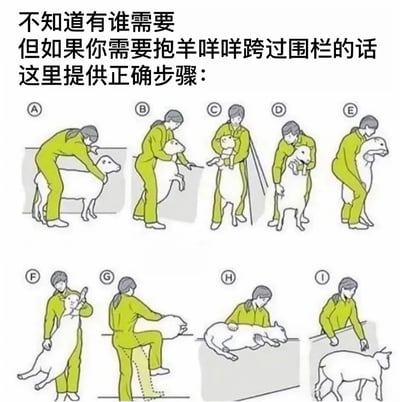 这是一张幽默风格的图文混排连环图，上方配有文字“不知道有谁需要 但如果你需要抱羊咩咩跨过围栏的话 这里提供正确步骤：”，下方分9个步骤（A-I）用线稿图展示了一位身穿绿色工作服的人抱羊跨过围栏的详细过程。每个步骤均为静态图示，人物动作连贯，从初始接触羊到最终将羊抱过围栏落地，整体风格诙谐，内容看似实用却充满无厘头搞笑感，旨在通过提供“不必要的详细指南”引发笑点。