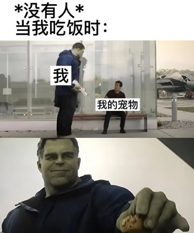 这张梗图分为上下两部分。上部分文字为“*没有人* 当我吃饭时：”，画面中绿巨人浩克（标注“我”）体型庞大，手持食物走向坐在长椅上的人（标注“我的宠物”），背景可见玻璃建筑和室外的飞机模型。下部分是绿巨人的特写镜头，他面带微笑，伸出拿着食物的手，表情满足。通过绿巨人和“宠物”的体型夸张对比，幽默地表达了当自己吃饭时希望不被打扰、享受独处时光的心情，带有轻松搞笑的氛围。