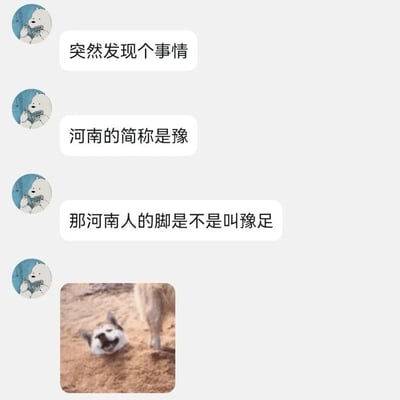 这是一张聊天记录风格的梗图，上方有三个带卡通熊头像的对话气泡，内容依次为："突然发现个事情"、"河南的简称是豫"、"那河南人的脚是不是叫豫足"。图片底部配有一张小狗四脚朝天躺在地上的照片，似乎在对这个冷笑话做出反应。

该梗图使用了谐音双关：河南的简称是"豫"，而"足"在中文里是脚的意思，因此将两者结合创造出"豫足"的说法，谐音"足浴"（足部护理），制造出幽默效果。