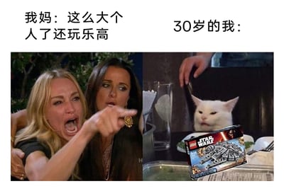 这是一张由两个经典网络梗图拼接而成的趣味图片，通过左右对比的形式展现亲子间的观念差异。左侧是出自《比弗利娇妻》的愤怒女性表情包，搭配文字“我妈：这么大个人了还玩乐高”，生动还原了长辈对成年子女玩乐高这类“玩具”的不解与指责；右侧是“餐桌淡定猫”表情包，猫咪一脸不为所动，前方摆放着一套星球大战系列的千年隼乐高套装，搭配文字“30岁的我：”，精准表现了成年乐高爱好者面对长辈吐槽时，依然坚持自己爱好、不为所动的状态，用幽默的方式戳中了很多成年爱好者的共鸣，展现了成年人在爱好与长辈观念之间的反差。