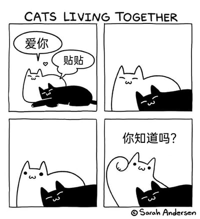 这是一幅由Sarah Andersen创作的四格连环漫画，标题为“CATS LIVING TOGETHER”，被添加了中文配文。第一格中，白猫亲昵地对黑猫说“爱你”，黑猫回应“贴贴”，二者表情柔和，氛围温馨；第二格中两只猫贴靠在一起，看起来十分亲密；第三格中，两只猫的表情变得平淡，失去了之前的亲昵感；第四格中，白猫突然直起身体，表情严肃地对黑猫说“你知道吗？”，瞬间打破了之前的温馨氛围，形成强烈的反差，生动展现了猫咪反复无常、让人捉摸不透的性格特点，充满搞笑效果。