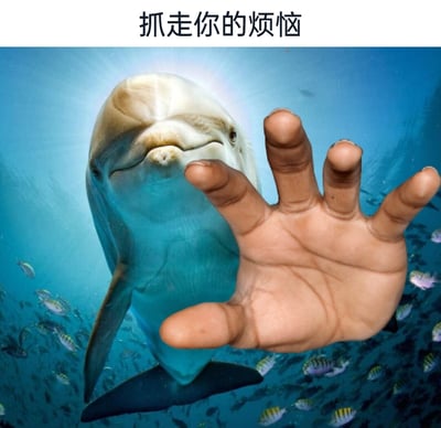这是一张经过P图改编的静态趣味图片，创作者将人类手掌与海豚的海底照片合成，营造出海豚伸出手掌的视觉错觉。图片上方配有文字“抓走你的烦恼”，背景是充满各类小鱼的海底场景，海豚神态温和愉悦，配合合成的手掌仿佛要向前抓取，整体风格轻松治愈，用诙谐的创意形式传递出想要带走观看者烦恼的温暖情绪，适合用于情绪疏导类的社交分享。