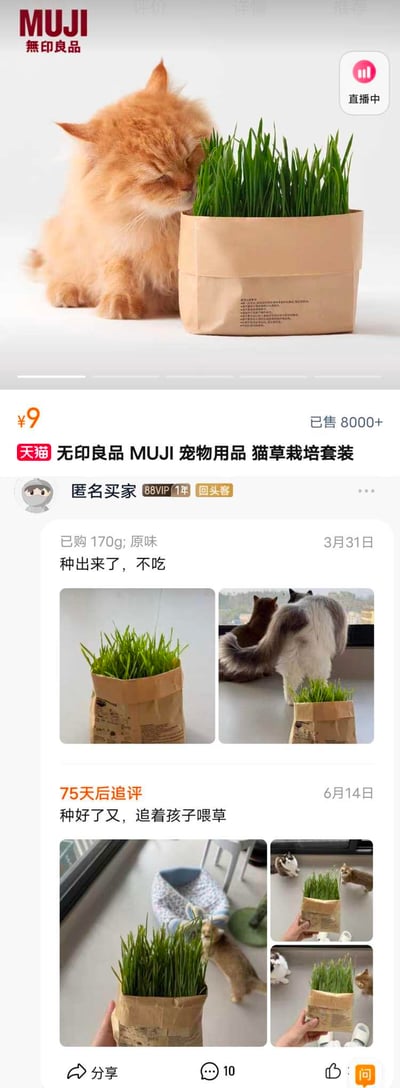 这是天猫平台无印良品MUJI宠物猫草栽培套装的买家评价截图。该商品售价9元，已售出8000+份。一位匿名88VIP回头客买家在3月31日评价称自己种出了猫草，但家里的猫不吃，并附上了长势良好的猫草照片和猫咪背对猫草的画面；时隔75天的6月14日，该买家追评表示新种的猫草被猫咪追着要吃，还附上了猫咪围过来抢食猫草的照片，前后评价的反差感拉满，十分搞笑，展现了猫咪对猫草态度的戏剧性反转。