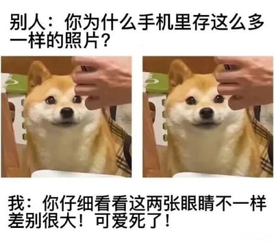 图片为上下文字+中间双图拼接的梗图。上方文字是“别人：你为什么手机里存这么多一样的照片？”，下方文字是“我：你仔细看看这两张眼睛不一样差别很大！可爱死了！”。中间左右两张图均为同一只柴犬的照片，一只手拿着物品靠近柴犬头部，两张照片中柴犬的眼神略有不同。整体通过对比他人的疑惑和自己对宠物细节的关注，幽默展现宠物主人拍照时对细微差别的执着，突出可爱感。