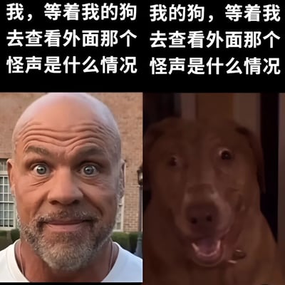 图片上方为两行重复的白色文字：“我，等着我的狗 我的狗，等着我 去查看外面那个 怪声是什么情况”。下方分为左右两格，左格是一位秃头男性，面部布满皱纹，双眼圆睁，带着一丝惊讶的表情，背景是砖瓦房和窗户；右格是一只棕色的狗，嘴巴张开，眼睛睁大，从门后探出头来，似乎在兴奋地张望。整体通过人与狗相似的期待神情，幽默展现了两者对未知声响的共同好奇。