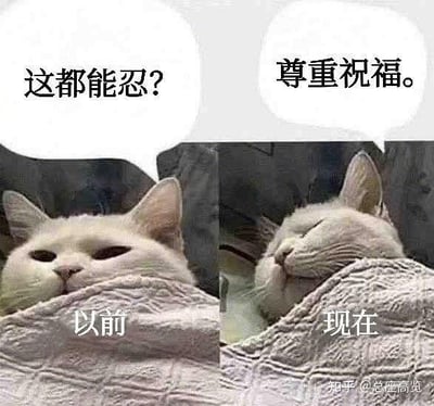 这是一张左右对比的猫咪表情包，左侧是露出眼睛、表情不满的裹被猫咪，配文「这都能忍？」，代表人们以前遇到糟心事时愤怒、无法忍受的尖锐心态；右侧是闭眼、神态平和的同款裹被猫咪，配文「尊重祝福。」，代表现在面对类似无奈之事时，已经躺平、佛系接受的心态。图中用「以前」「现在」标注两侧状态，生动展现了当代年轻人在经历诸多琐事之后，心态从激烈到淡然的转变，十分贴合日常吐槽无奈之事的场景。