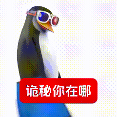 高雅人士找诡秘：企鹅的迷惑行为大赏