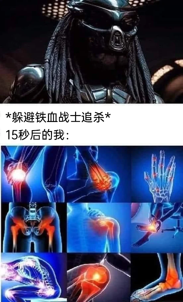 《铁血战士》系列电影