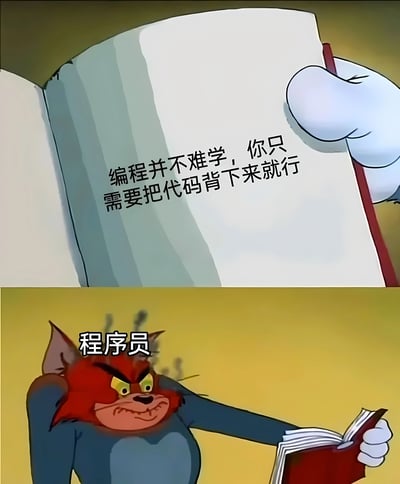 图片为上下两格的连环漫画，改编自动画《猫和老鼠》。上格中一只戴着白手套的手拿着一本打开的书，书页上写着“编程并不难学，你只需要把代码背下来就行”，传达出对编程学习的简单化误解。下格中汤姆猫（被标注“程序员”）表情愤怒，双眼圆睁，耳朵竖起，正拿着一本书，生动展现了程序员面对这种误解时的抓狂反应。整体通过幽默对比讽刺了“编程只需死记硬背代码”的错误认知。